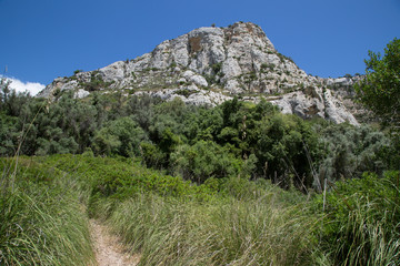 Sentiero, paesaggio, sulla sponda sinistra verso i laghetti, Riserva Naturale Orientata Cavagrande del Cassibile