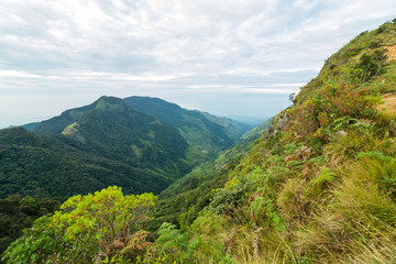 Fototapeta na wymiar Mountains Landscape cloud forest. Worlds End in Horton Plains National Park Sri Lanka.