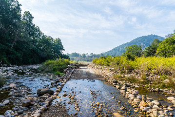 River flowing at Corbett