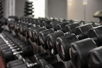 Row of dumbbells in a gym