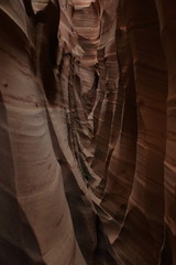 Zebra Slot Canyon Utah, USA