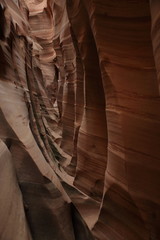 Zebra Slot Canyon Utah, USA