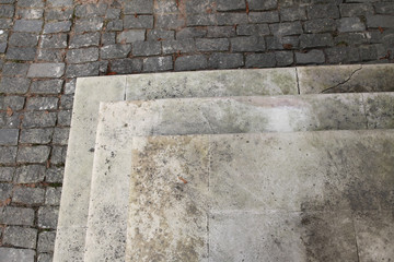Paving stone in an autumn park
