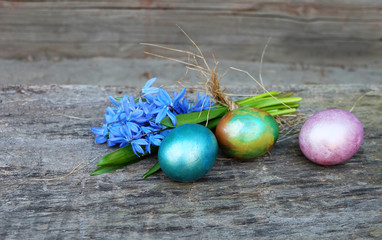 Bouquet Scilla Difolia and colored eggs on the background of an old tree. Spring Easter composition with blue snowdrops