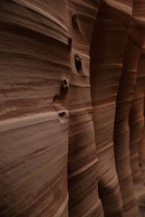 Zebra Slot Canyon Utah, USA
