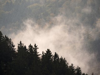 Autumn sunrise in a beautiful mountain within inversion. Peaks of hills strip  thick fog