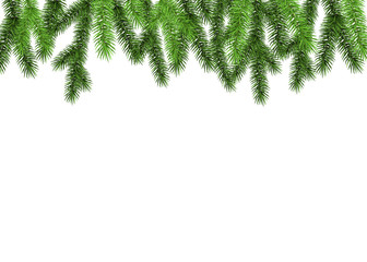 Christmas spruce branch on white background.