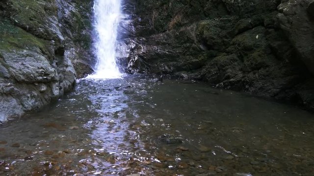seal pups play in the pool at the base of a waterfall on ohau stream near kaikoura, new zealand