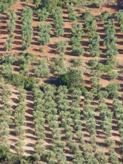 Alcaraz. Pueblo historico de Albacete (España) dentro de la comunidad autónoma de Castilla La Mancha