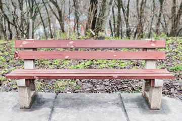 Old wooden bench on concrete legs in the city autumn park