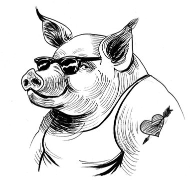 Cool pig in sunglasses. Black and white ink illustration