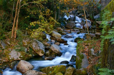 Ribeiro em Nossa Senhora da Abadia