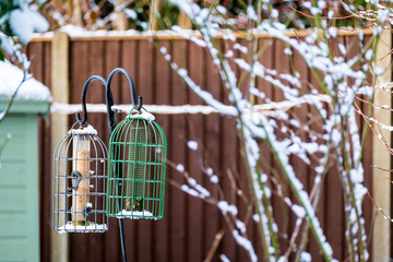 Two bird feeders hanging in the a garden during winter time.