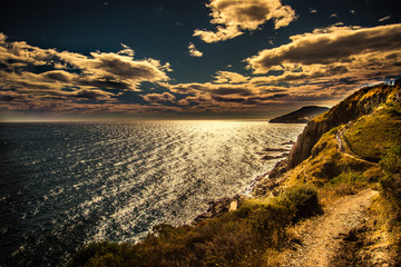Search Photos By Cueilleur Détoiles - 