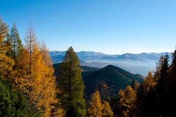 Autumn in the Bucegi mountains (Romania)