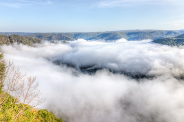 Mountains and fog, mist clouds in morning floating above forest trees, covering, blanketing valley in Grandview Overlook, West Virginia