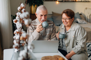 Happy senior couple using laptop for websurfing. Mature man and woman drinking tee in the morning