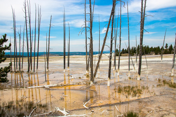 Yellowstone National Park UNESCO World Heritage geysers this must-see during your vacation in America mustsee