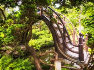 Japanese Tea Garden, Golden Gate Park, San Francisco, California, CA, USA
