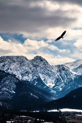 Obraz premium Winter mountains panorama of Zakopane, High Tatra Mountains, Poland