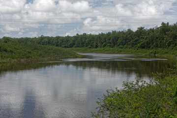 Aval de la rivière Iracoubo dans l'ouest de la Guyane française