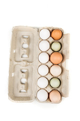 Farm fresh and commercial eggs in a carton on a white background