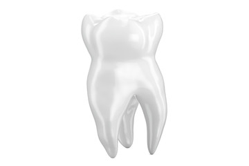 Human Tooth closeup, 3D rendering