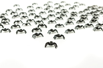 Black plastic fake spiders crawling on a white background