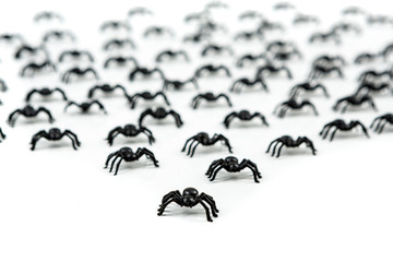 Black plastic fake spiders crawling on a white background