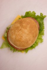 Burger Top View
