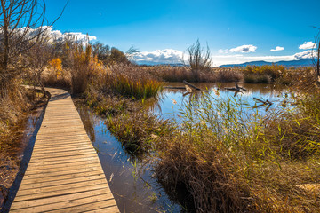 Laguna de Padul