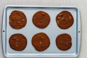 Freshly baked chocolate ginger snap cookies on the baking sheet on a table close-up.