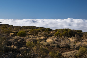 Fototapeta na wymiar teide, tenerife canary islands, clouds in the teide