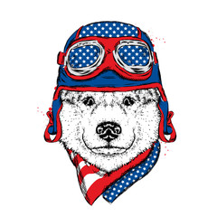 A beautiful dog in a helmet and scarf. A pedigreed puppy in the clothes of a rider or pilot. Husky. Vector illustration for a postcard or a poster, print on clothes or a cover.