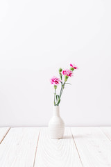 pink spring flower on wooden background