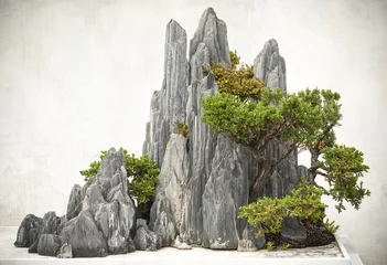  Chinese bonsai, gevestigd in Suzhou City, Jiangsu Province, China. © aphotostory