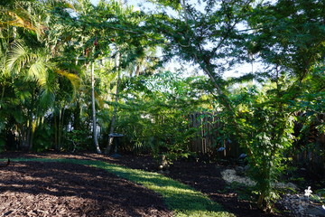 Lush tropical green landscape