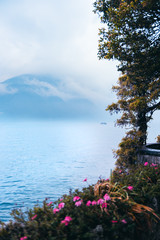Fototapety  Widok na jezioro Como z ogrodem