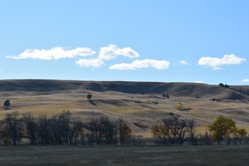 Fototapeta na wymiar Rolling hills open range .... Custer State Park S.D.