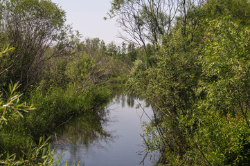 The river in Eastern Siberia