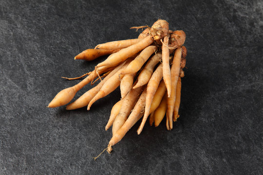 fingerroot