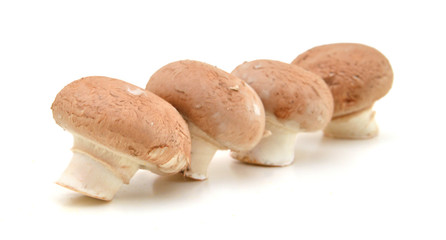 Fresh mushroom champignon isolated on white background