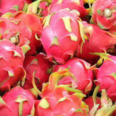 Fototapeta premium dragon fruit