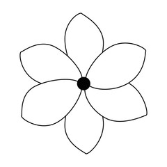 exotic and tropical flower