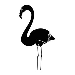 exotic bird flamingo icon