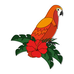 cockatoo exotic bird with flower