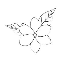 exotic and tropical flower