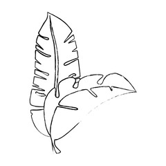 tropical palm leaf icon