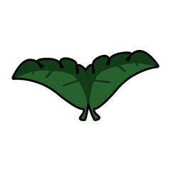 tropical palm leaf icon