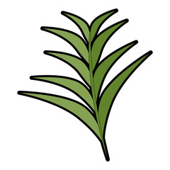 tropical palm leaf icon